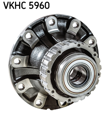 SKF VKHC 5960 Radnabe